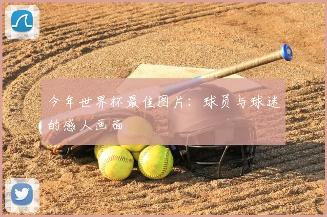 今年世界杯最佳图片:球员与球迷的感人画面
