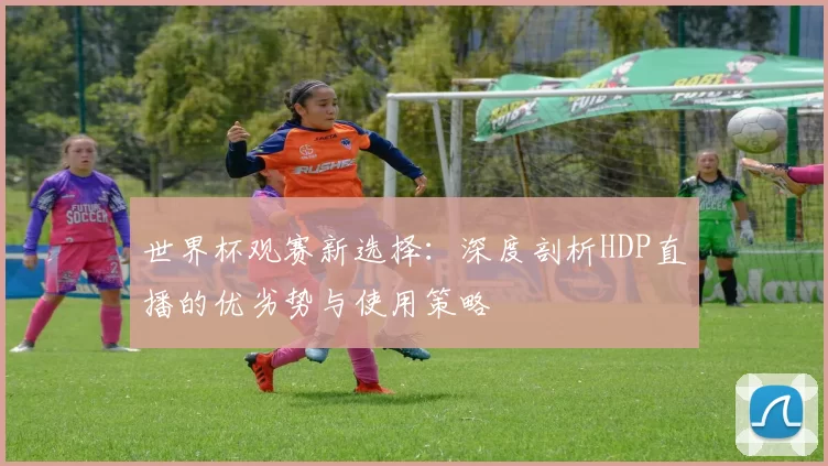 世界杯观赛新选择：深度剖析HDP直播的优劣势与使用策略