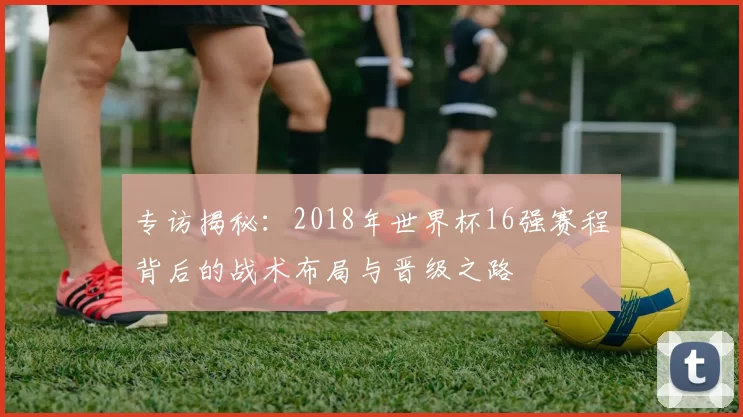 专访揭秘：2018年世界杯16强赛程背后的战术布局与晋级之路