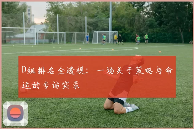 D组排名全透视:一场关于策略与命运的专访实录
