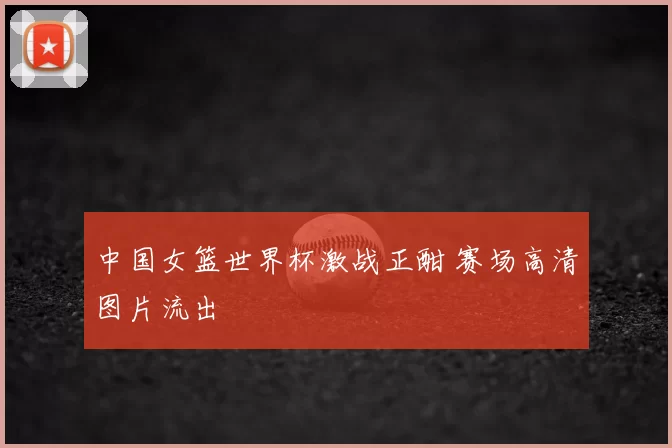 中国女篮世界杯激战正酣 赛场高清图片流出