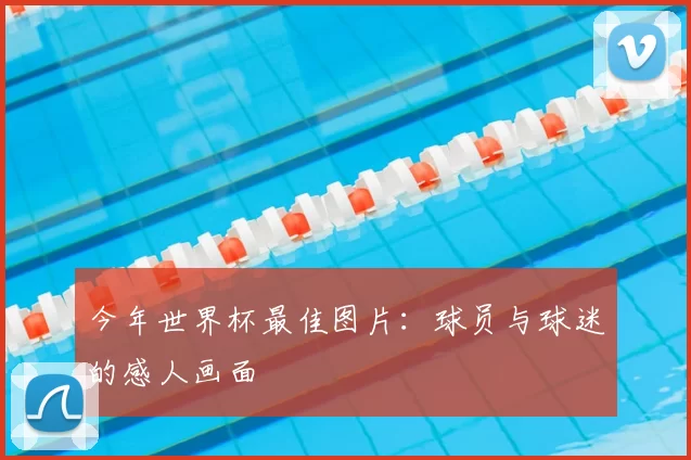 今年世界杯最佳图片：球员与球迷的感人画面