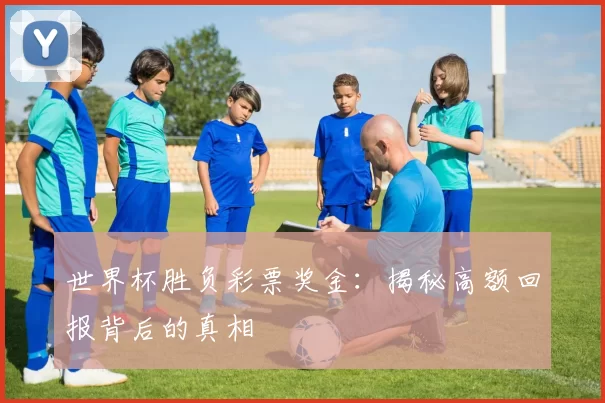 世界杯胜负彩票奖金:揭秘高额回报背后的真相