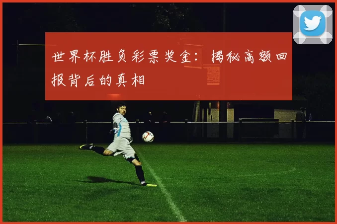 世界杯胜负彩票奖金：揭秘高额回报背后的真相