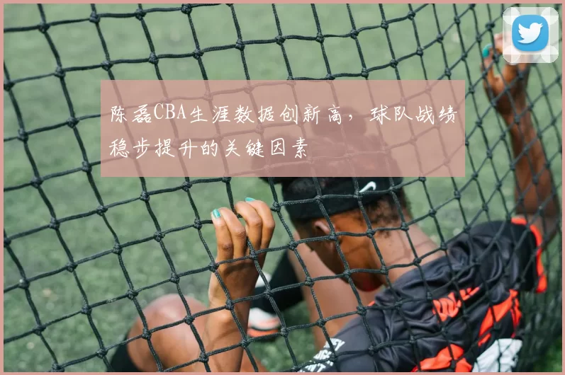 陈磊CBA生涯数据创新高，球队战绩稳步提升的关键因素