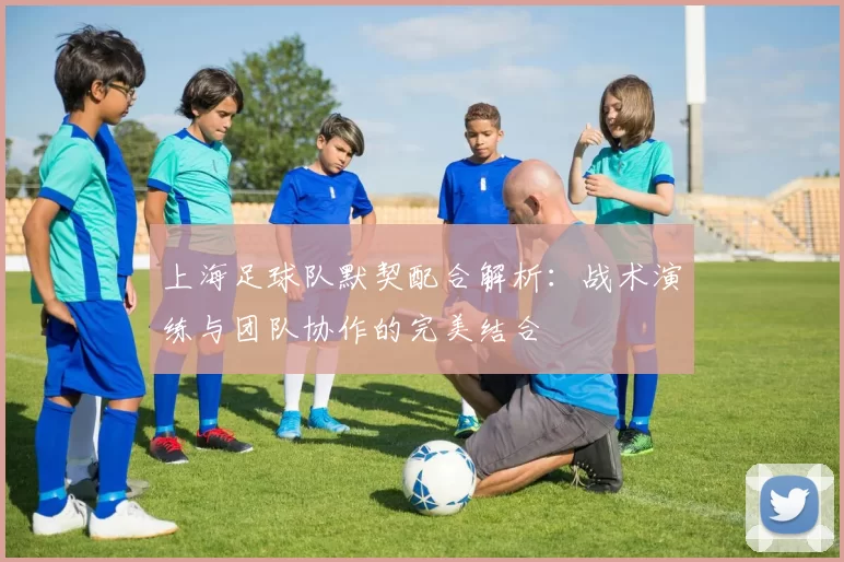 上海足球队默契配合解析:战术演练与团队协作的完美结合