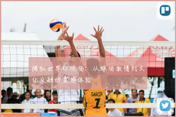 揭秘世界杯现场:从球场激情到文化交融的震撼体验