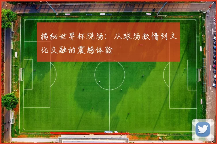 揭秘世界杯现场：从球场激情到文化交融的震撼体验