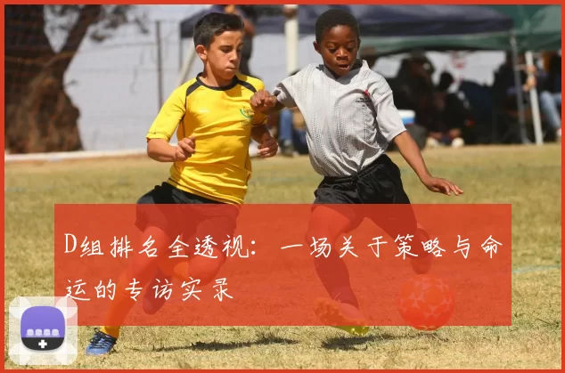 D组排名全透视:一场关于策略与命运的专访实录